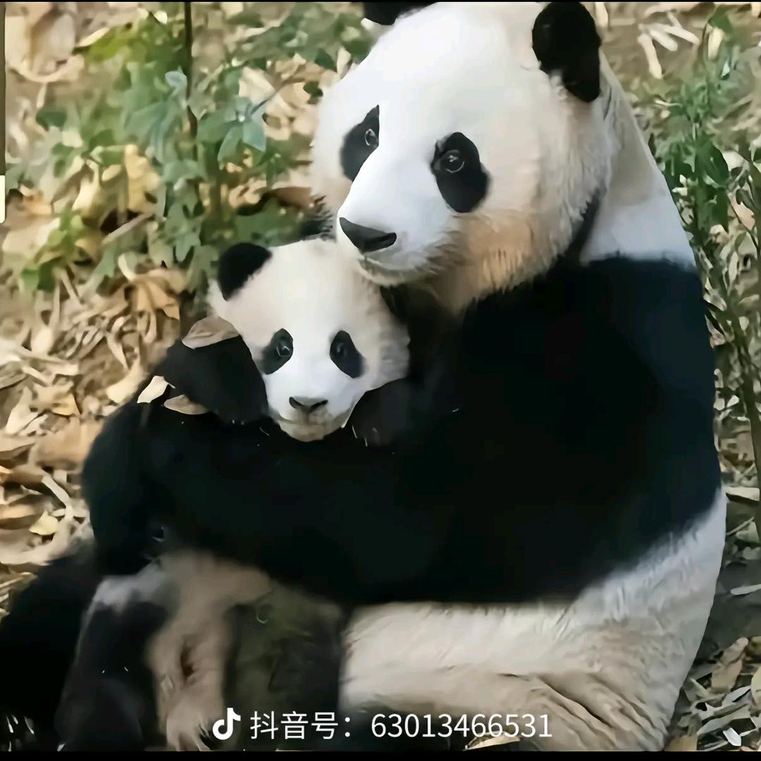 风影