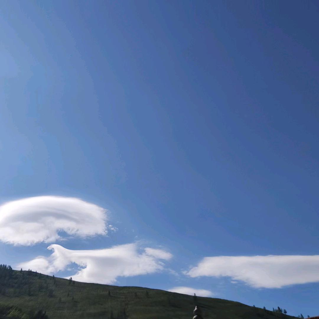 对方正在输入中…ll