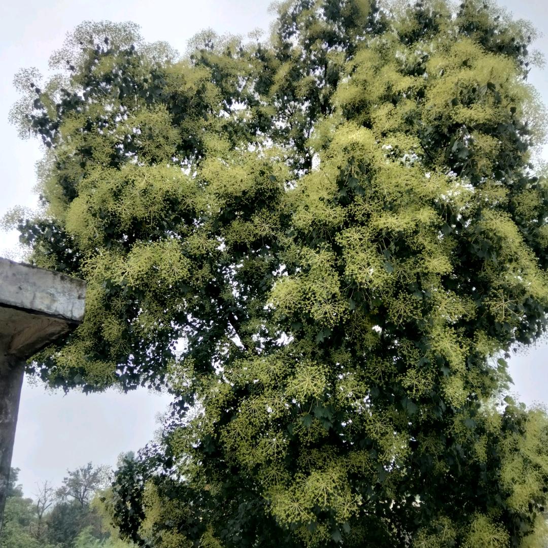 真心对你好