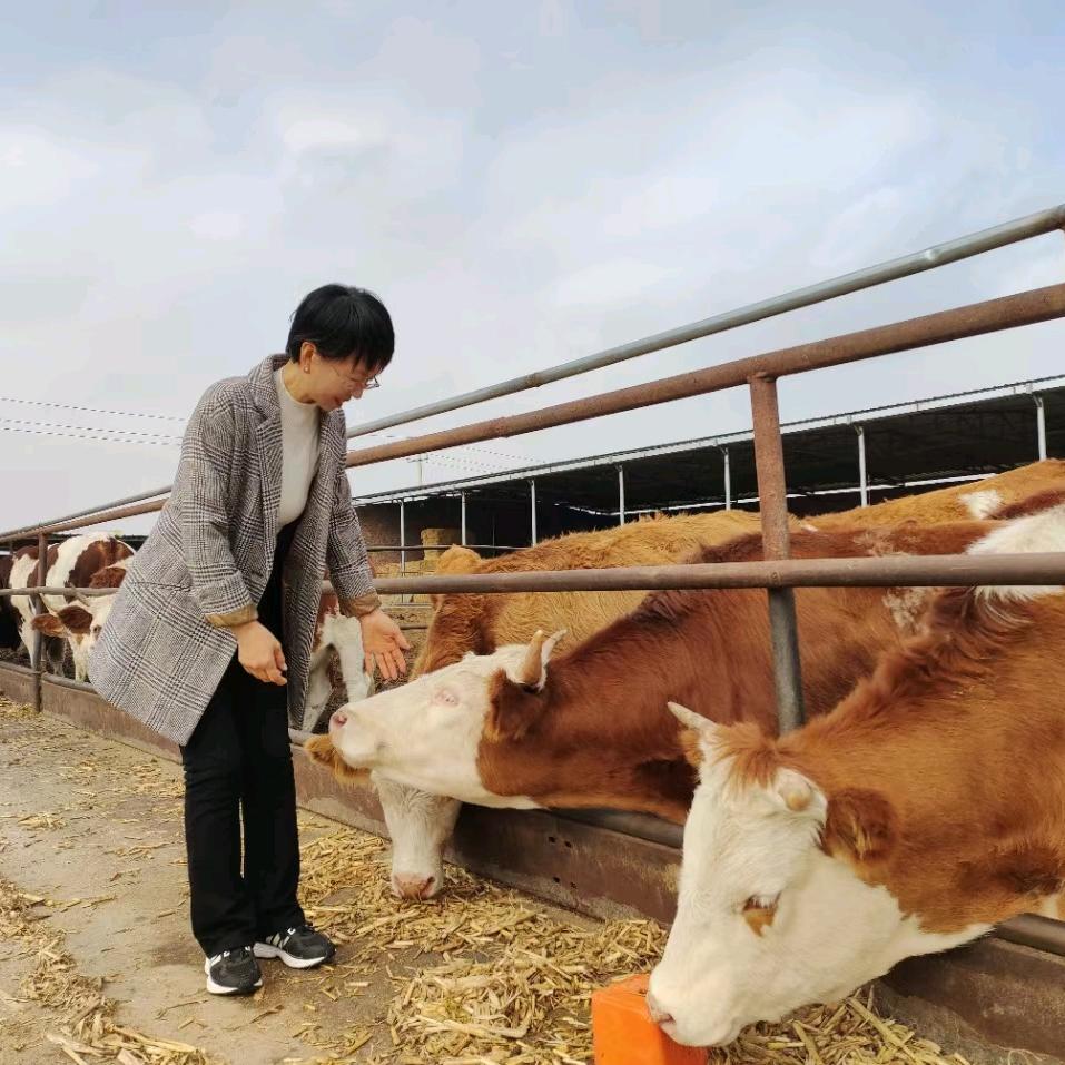 城留牛姐丁明霞