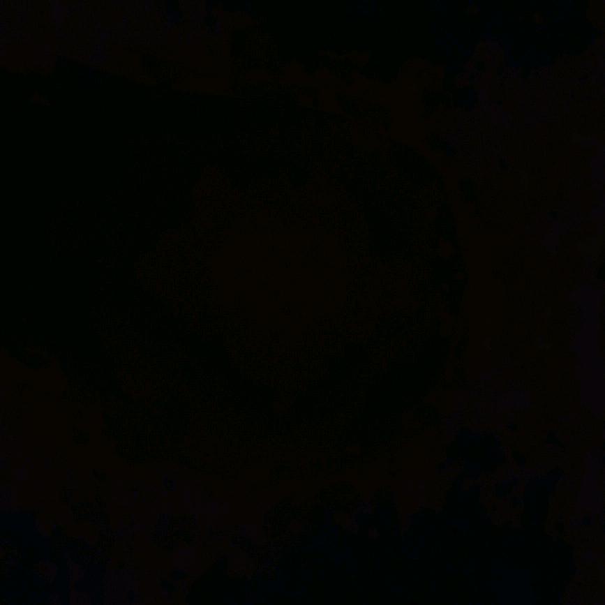 曹鹏水产服务中心