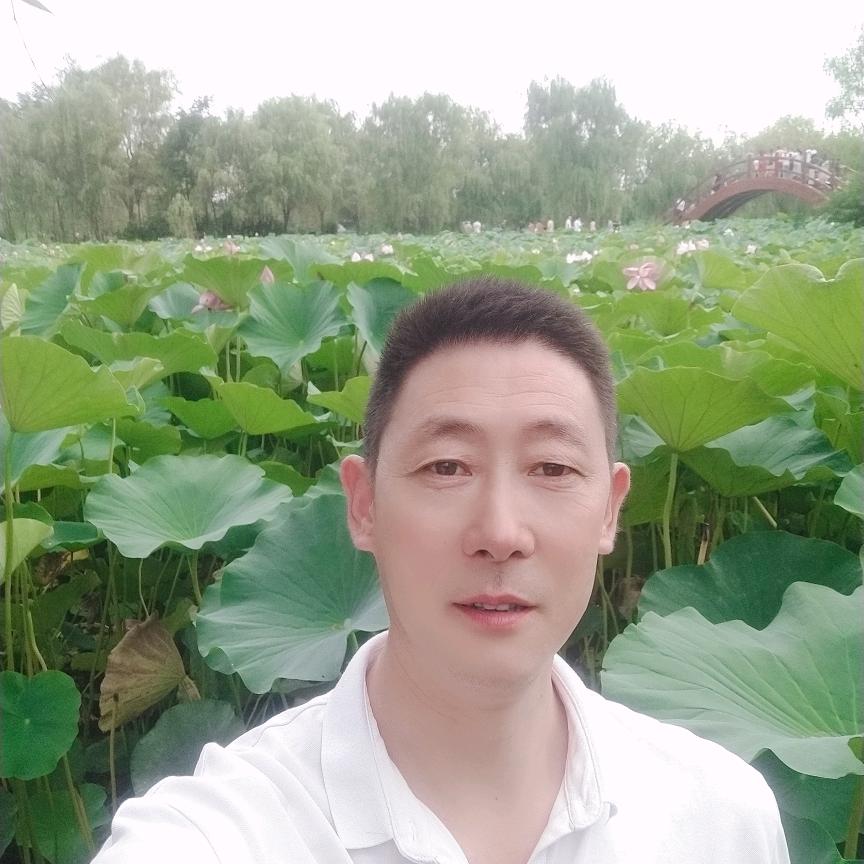 ，四屯，清真，秦伊泡馍烧烤