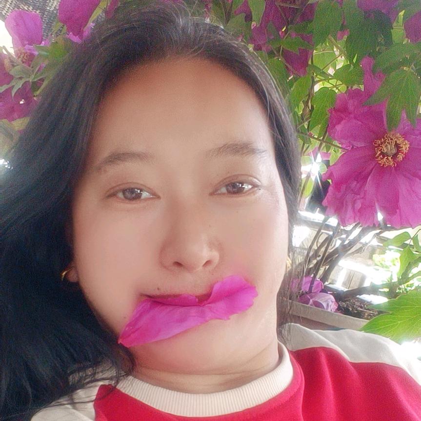 菩提纸壶