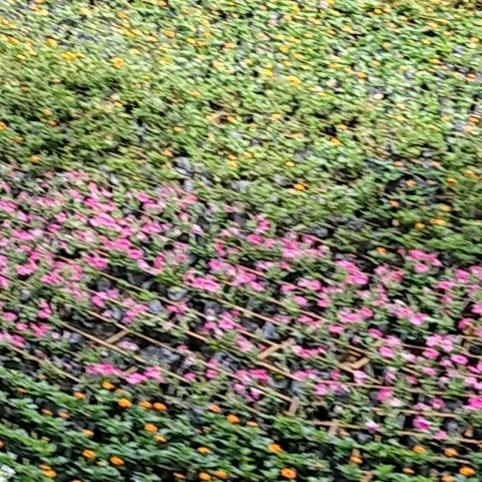 他们的这样叫我小杜