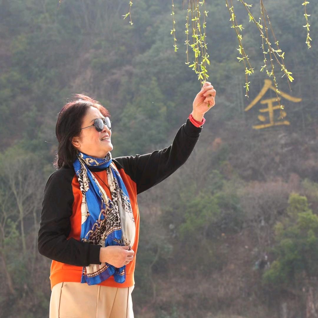 美丽新世界