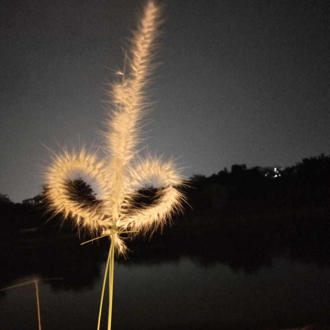 艳