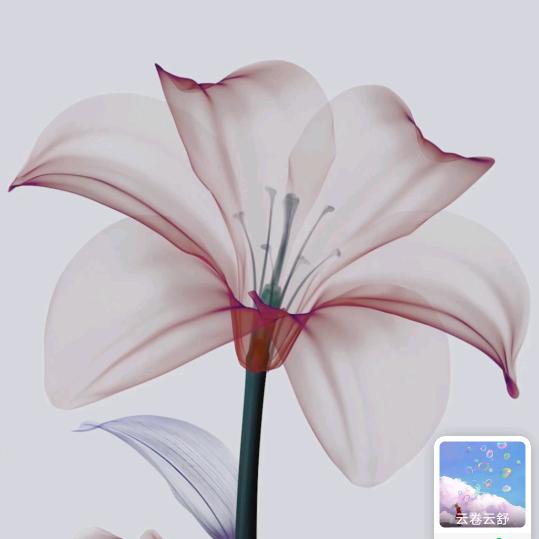 彩云追月