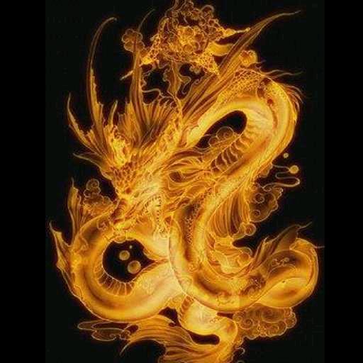 快乐肥宅龙某人