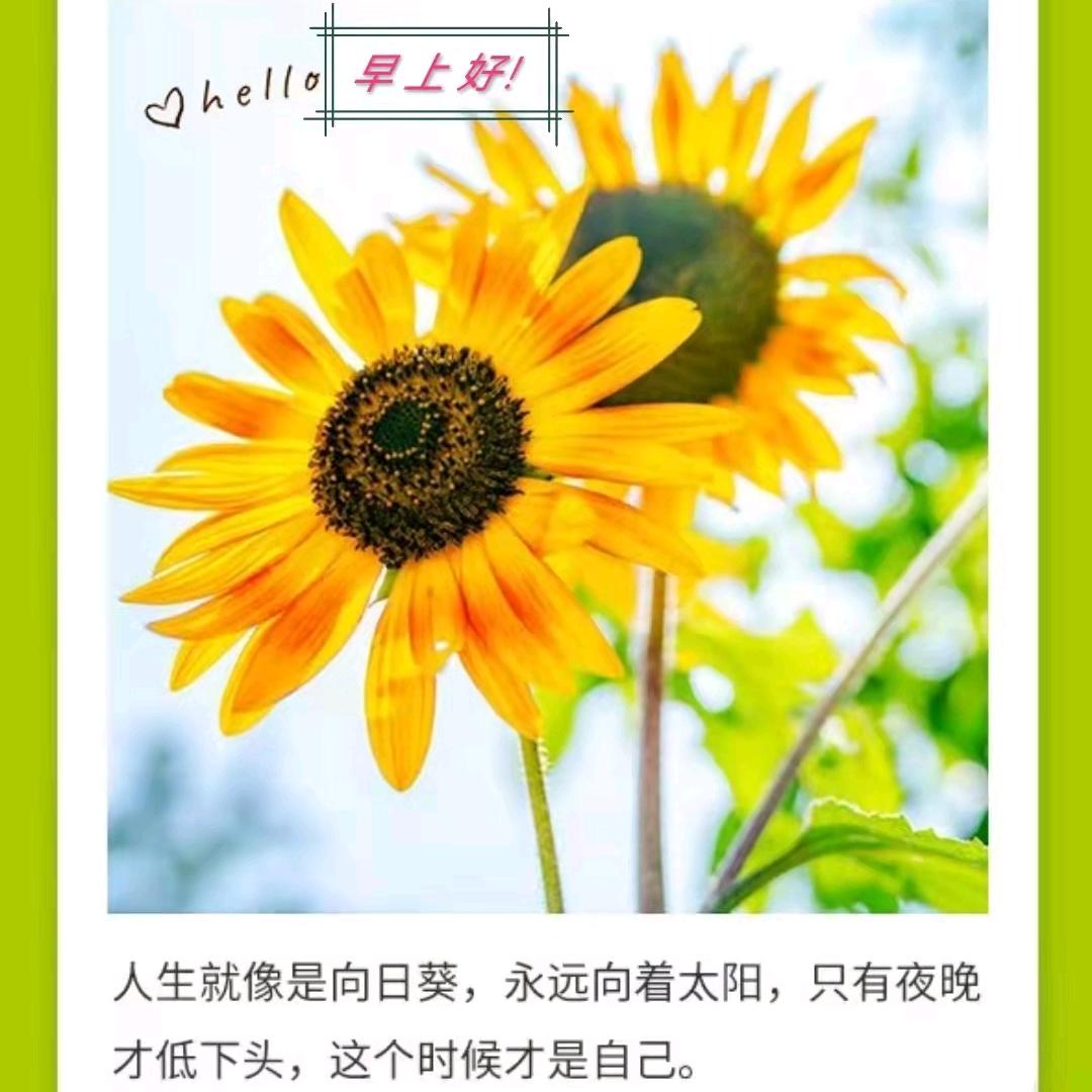 浩