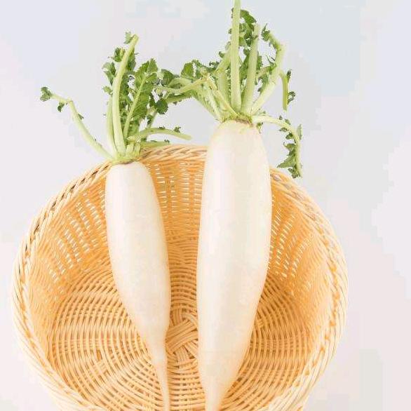 根号萝卜头