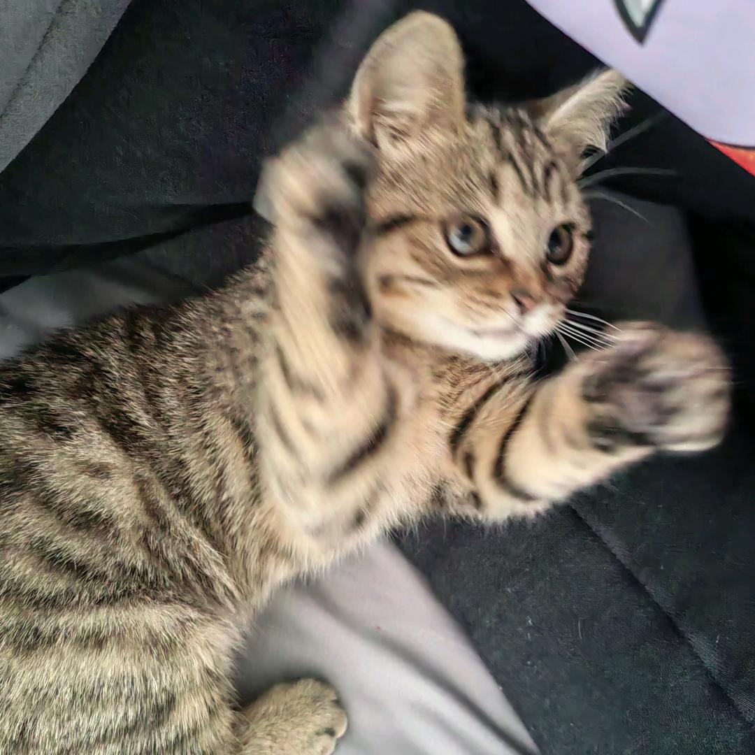 口*古