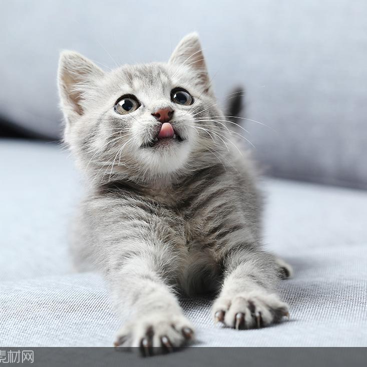 经典说说