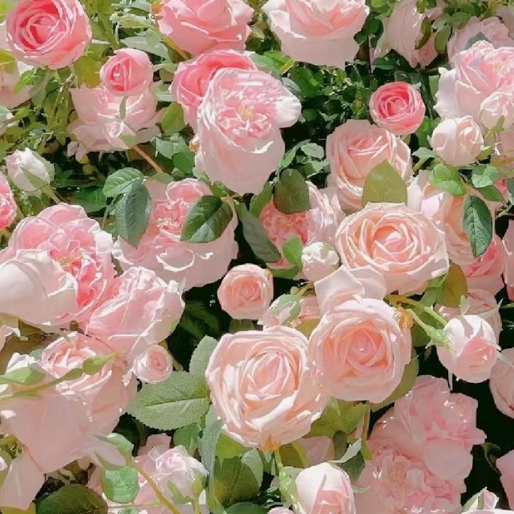 ℒᎭℯ⃟淡然💕