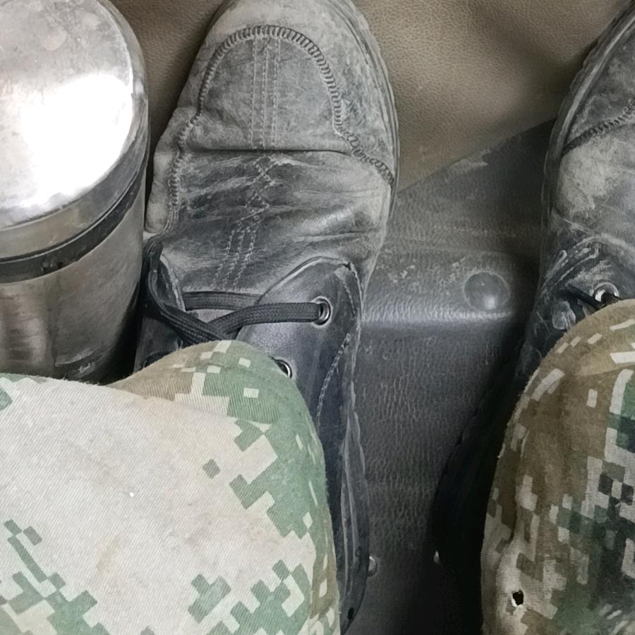 自由飞翔