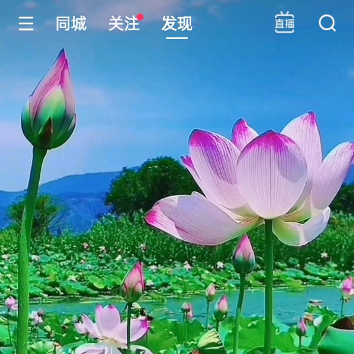 免费帮您找丢失物品