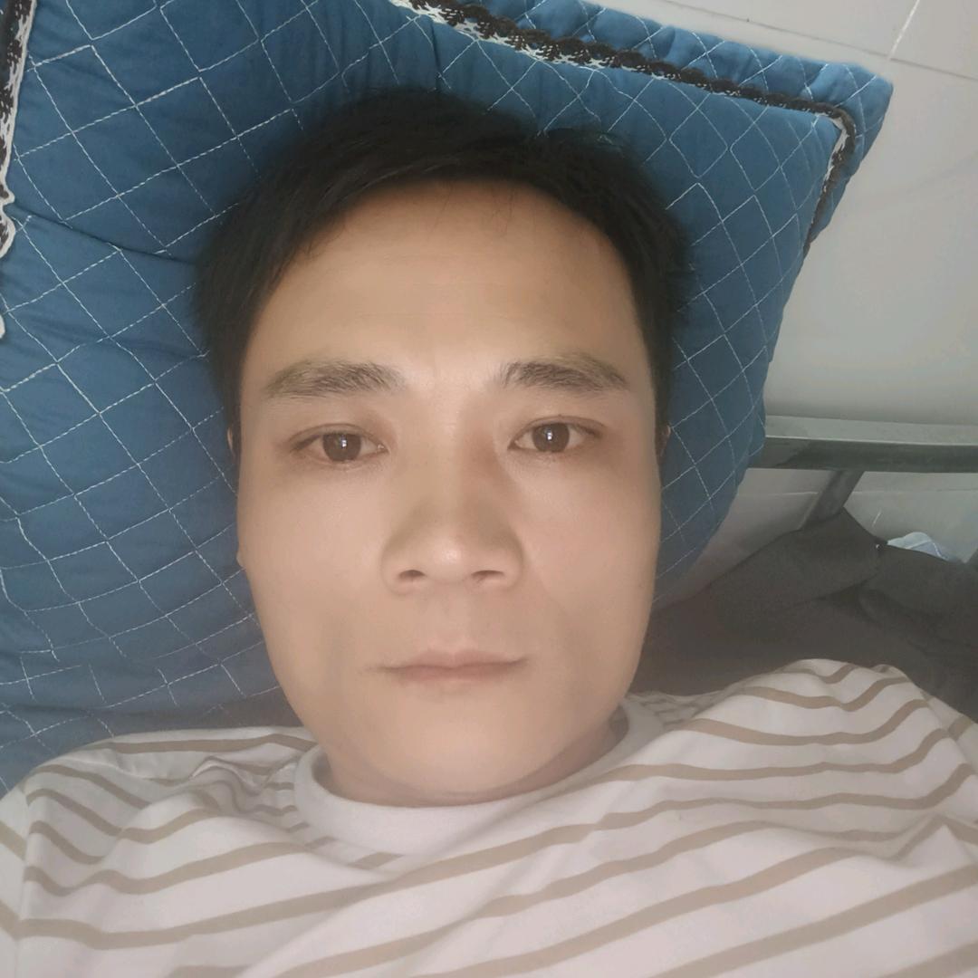 月反归去来兮