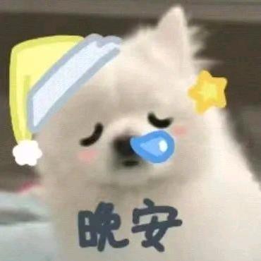 二毛毛毛