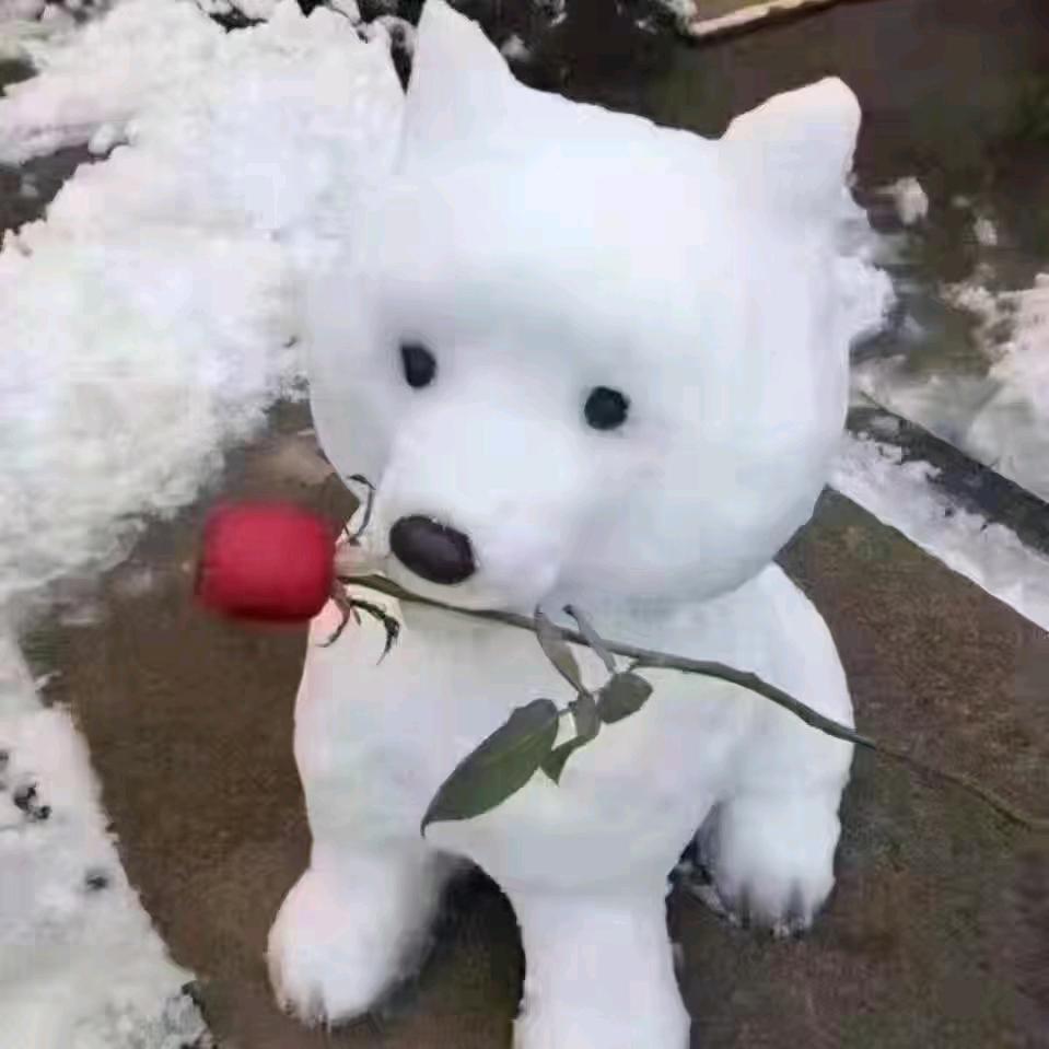 亚当