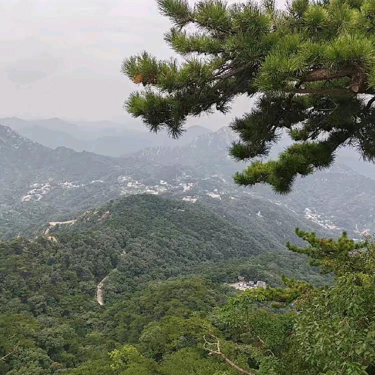 路在前方
