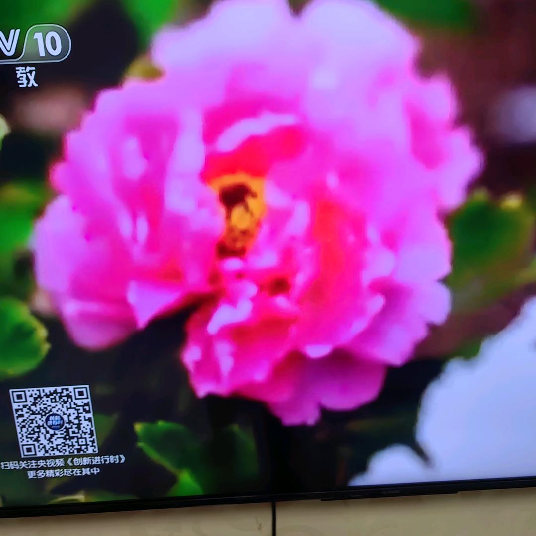 锦上添花