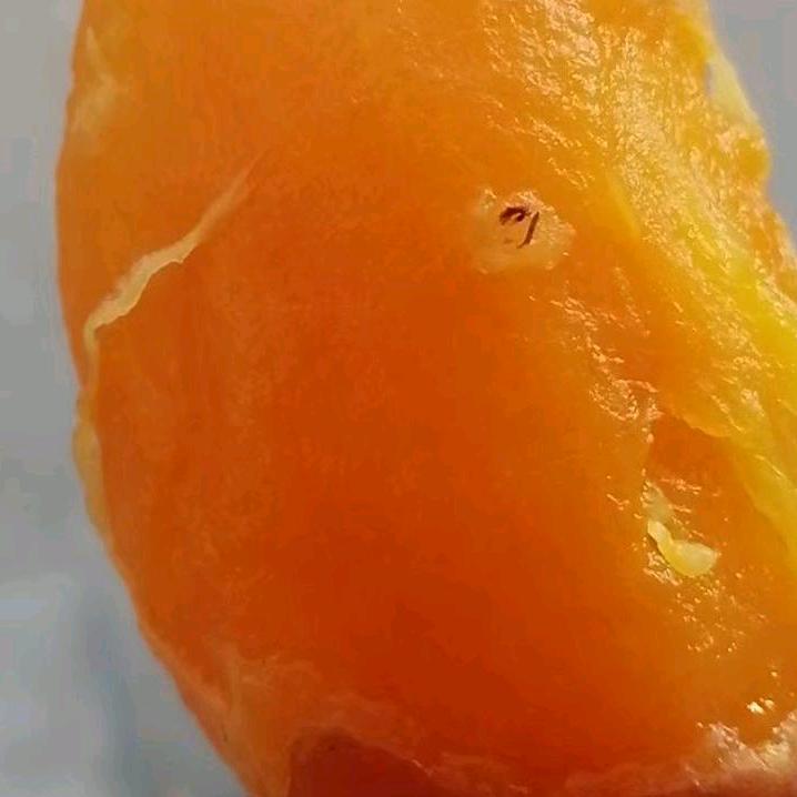 梅子薯业