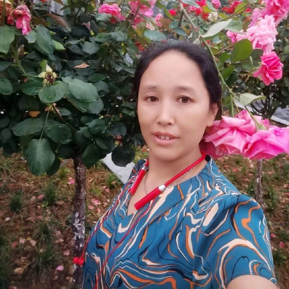 桂花好物