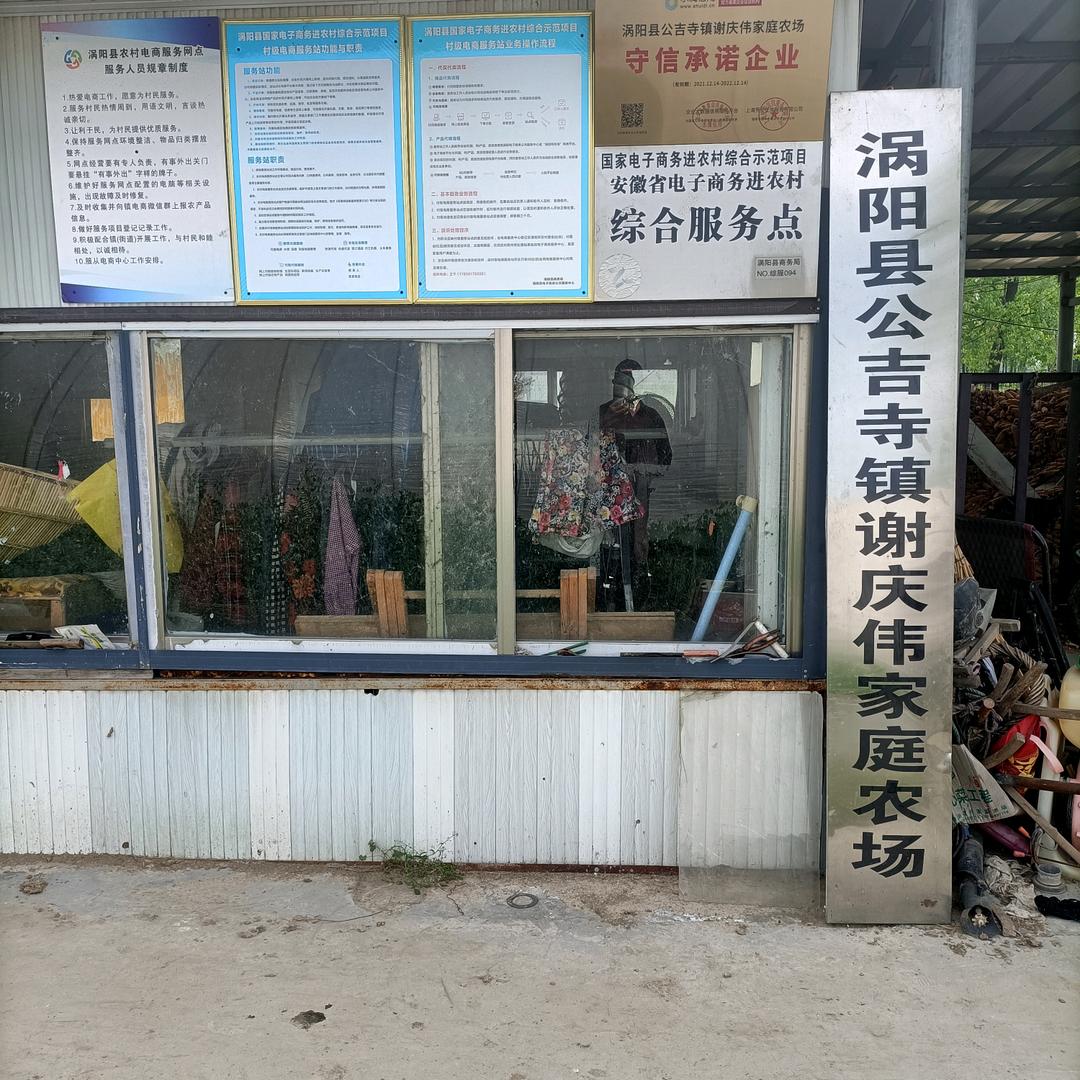 涡阳县公吉寺镇谢庆伟家庭农场