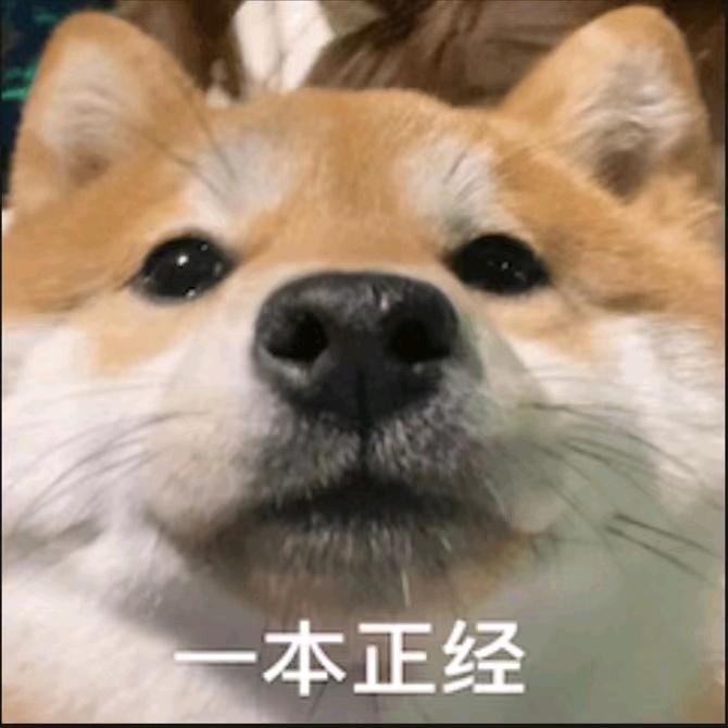 养猪发家致富🤔