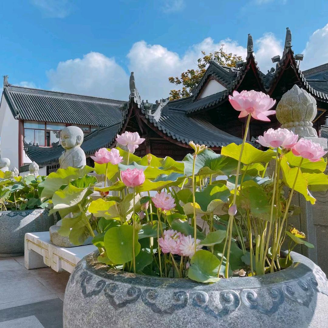 星河滚烫，保持热爱