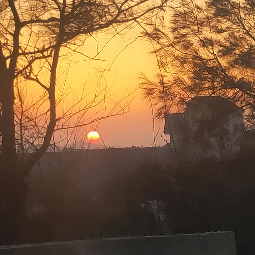 都队
