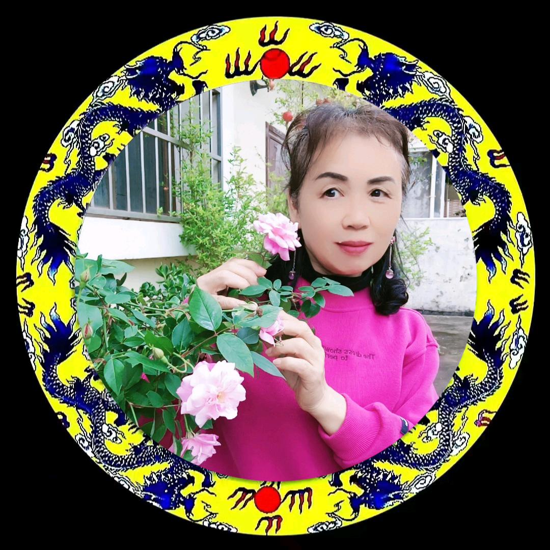 龍行⭐️梅雪晴