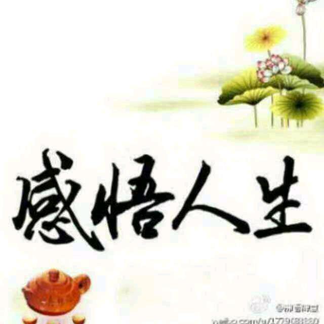 感悟人生-皓月千里