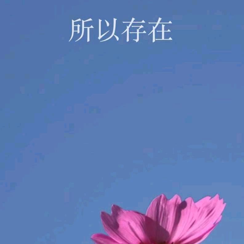 择一