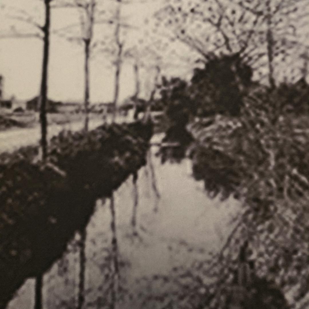 成都卡八木材－龚明亮_毛蛋
