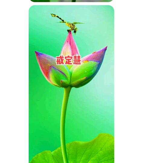 闻安
