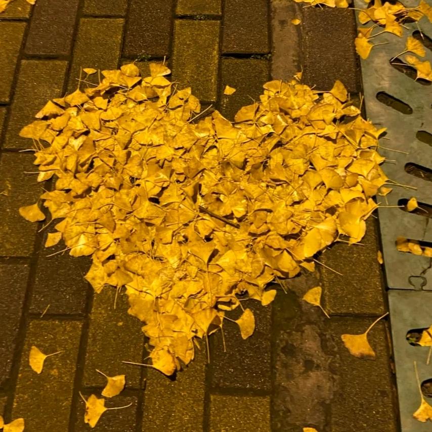 抖麻麻短剧
