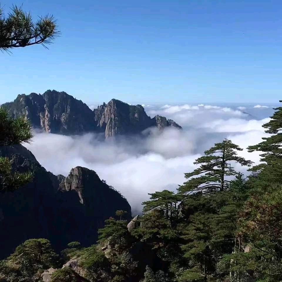 开心快乐~