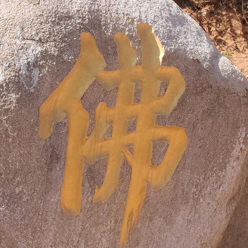 心若一动