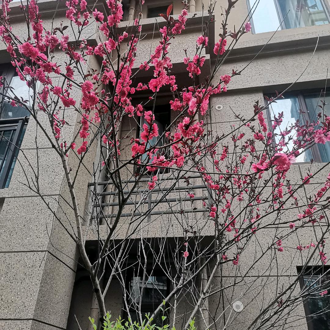 一生平安^0^