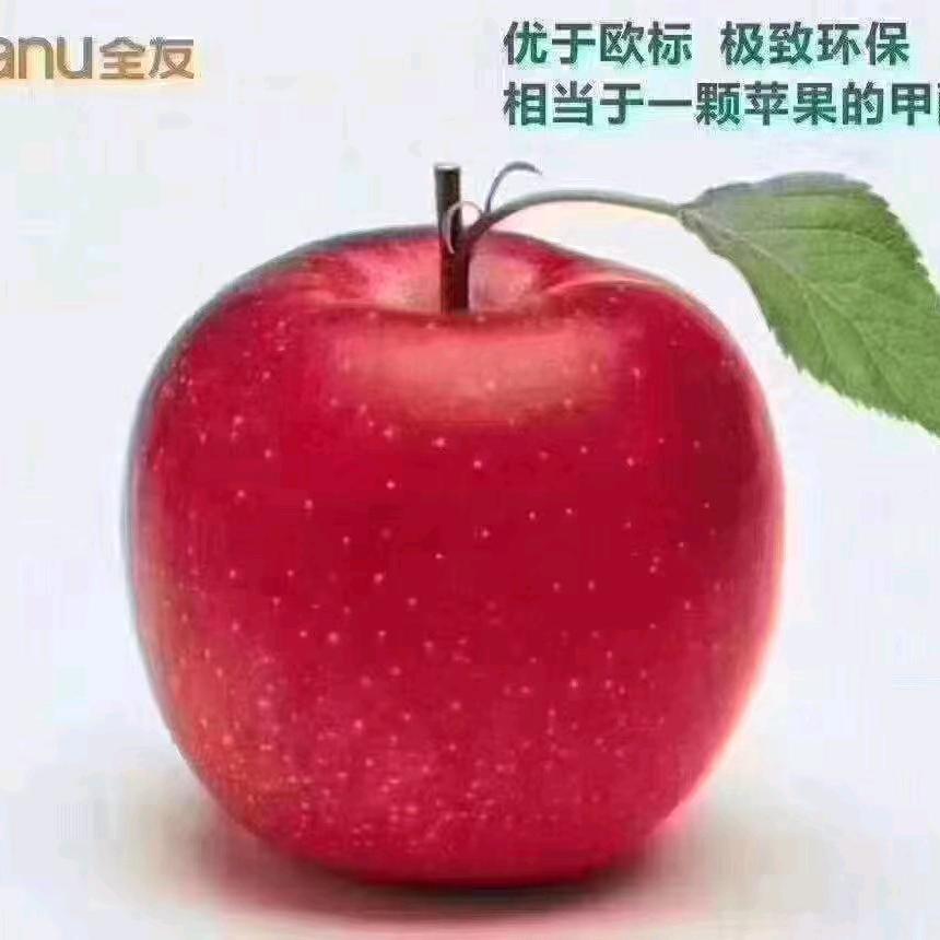 百合①