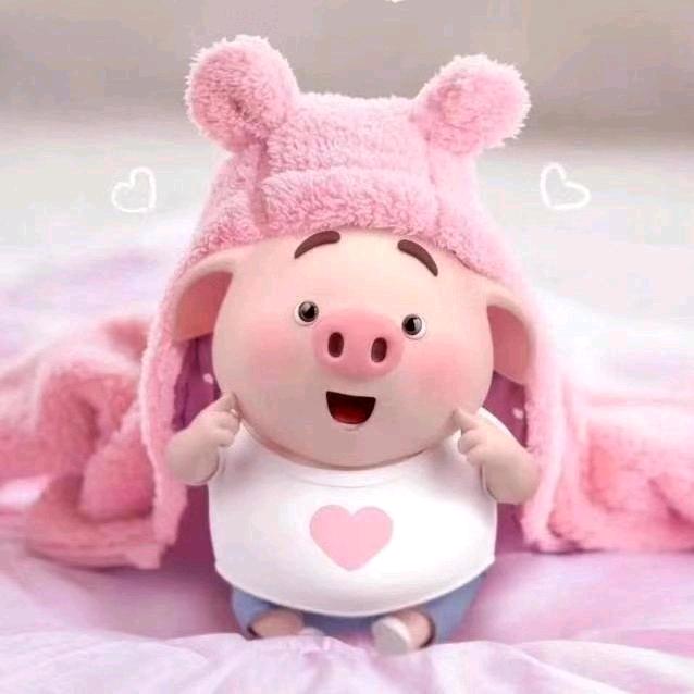笨 哥 💋