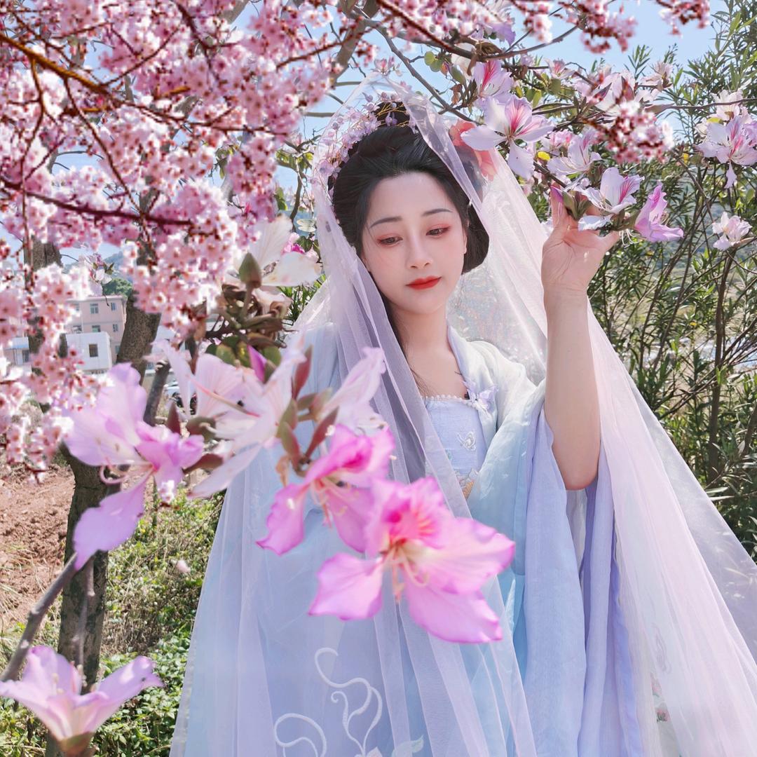 苏苏🌸