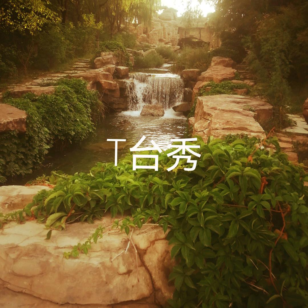 @T台风采