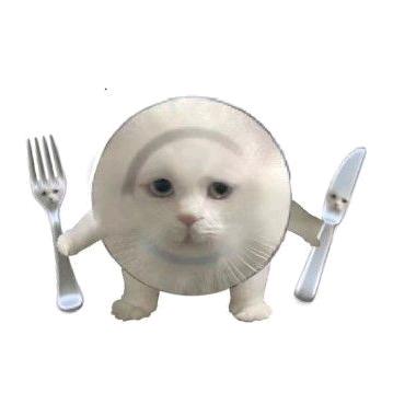 泡面异常辉煌