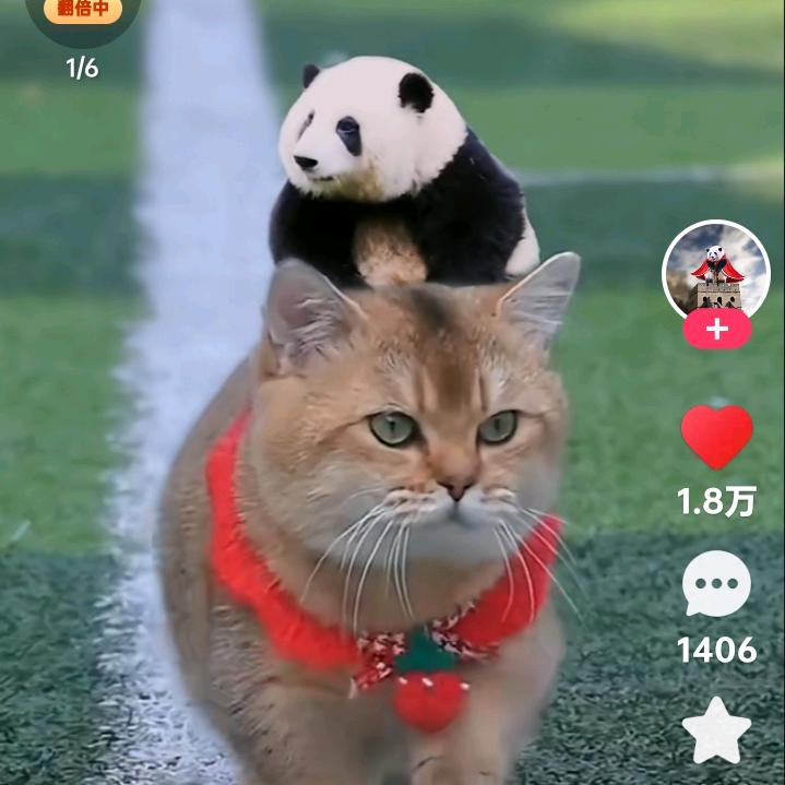 开心快乐小老太