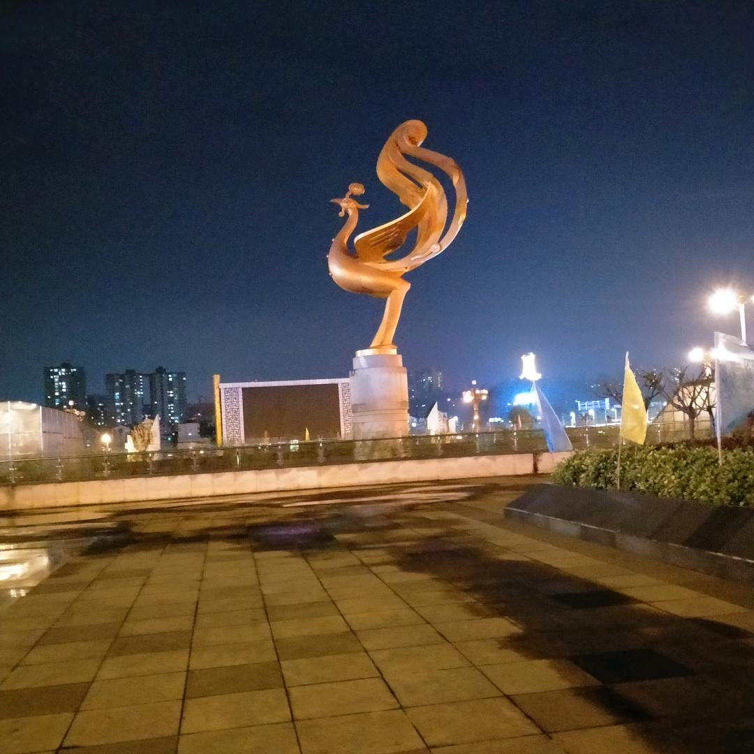 情深意动