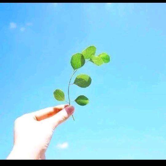 越努力越幸运✨🌹