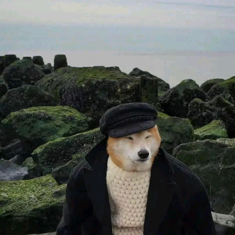 ldddddddd（双服王者）