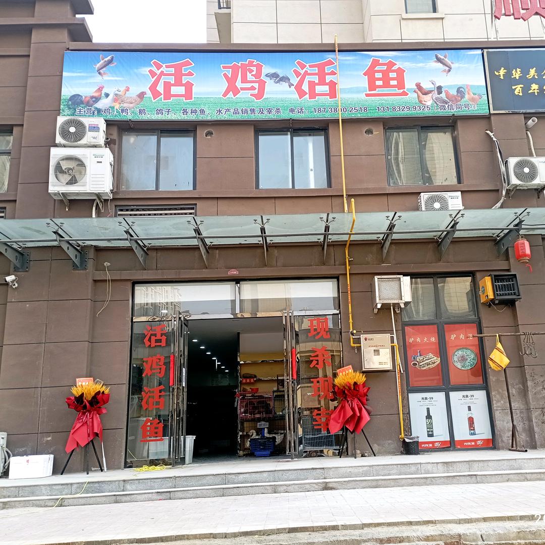 民权绿洲桂园活鸡活鱼
