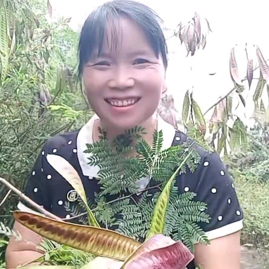 王艳  🌿